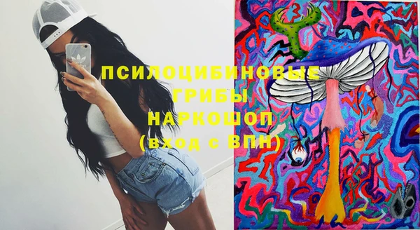 молекула духа Абинск