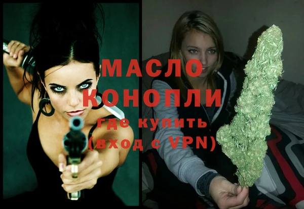крисы Абаза