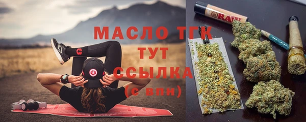 крисы Абаза