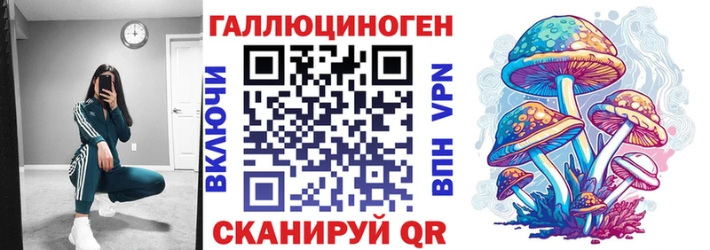 дарнет шоп  Нелидово  Галлюциногенные грибы Magic Shrooms 